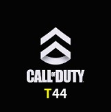  T44