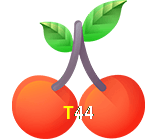  T44